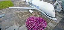 Airbus: Ostatnia BelugaXL oficjalnie dostarczona