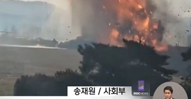 Katastrofa w Korei. Media: w silniku Jeju Air znaleziono ptasie pióra 